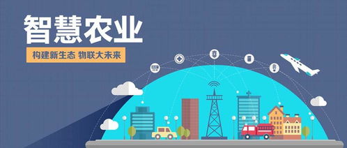 物联网技术在传统农业转型中的挑战与服务路径探索